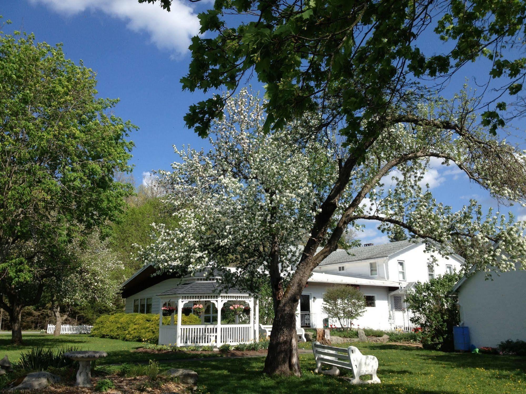 Lukans Farm Resort Hawley Екстериор снимка